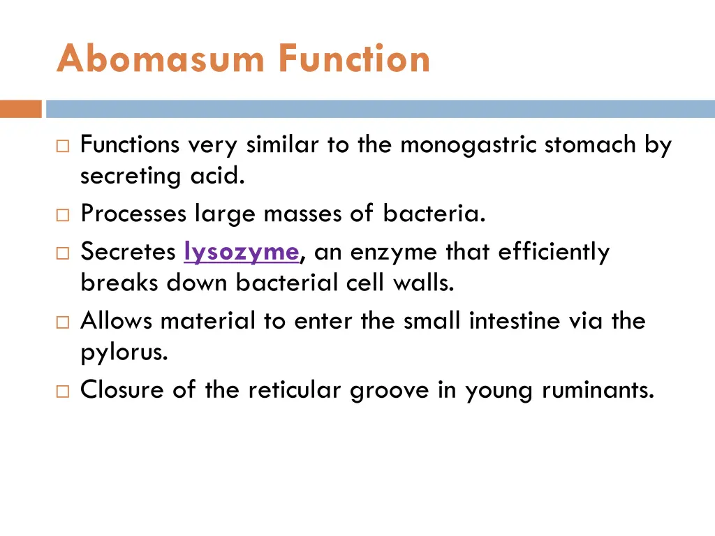 abomasum function