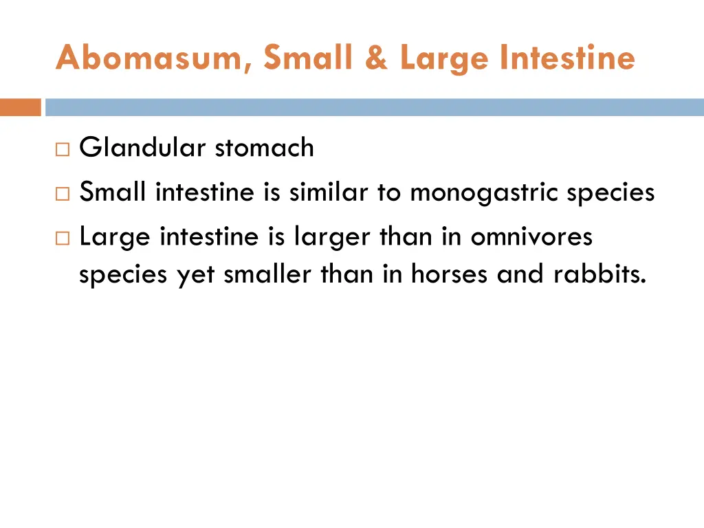abomasum small large intestine