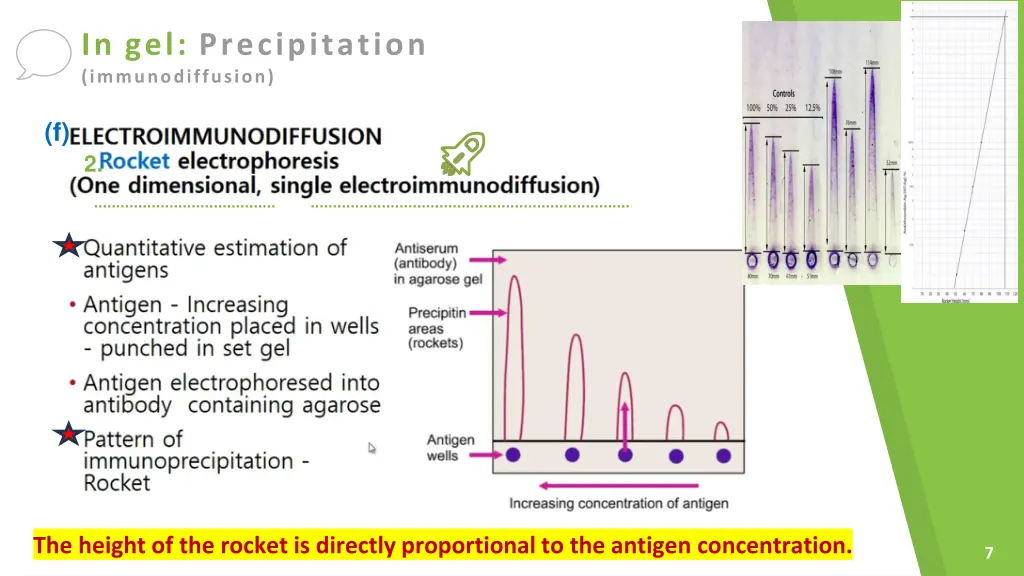 in gel precipitation immunodiffusion 2