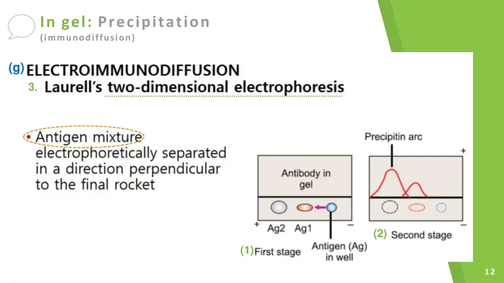 in gel precipitation immunodiffusion 4