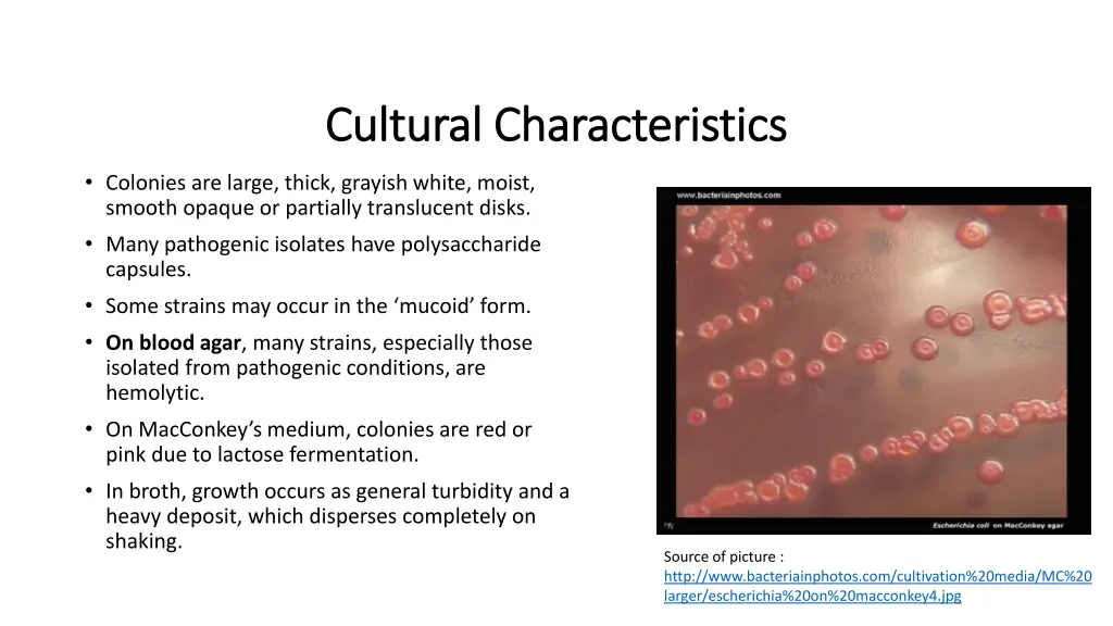 cultural characteristics cultural characteristics