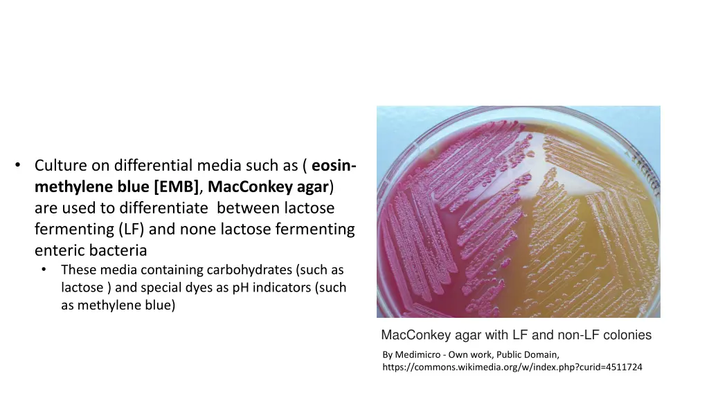 culture on differential media such as eosin