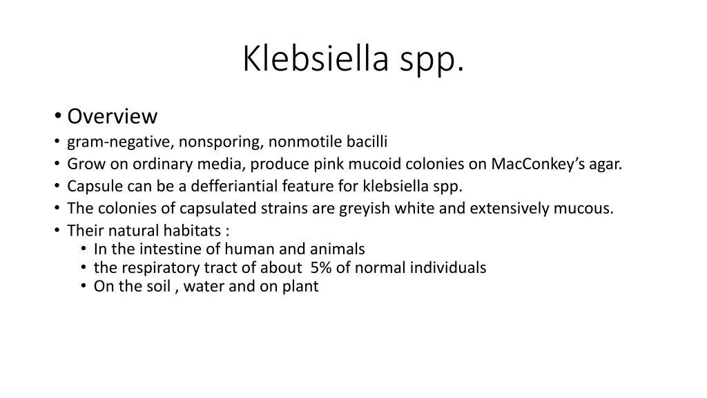 klebsiella spp