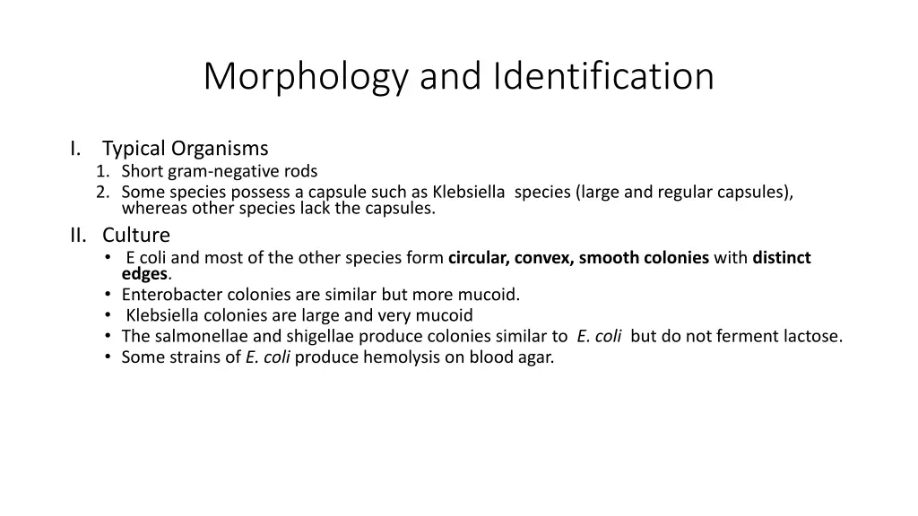 morphology and identification