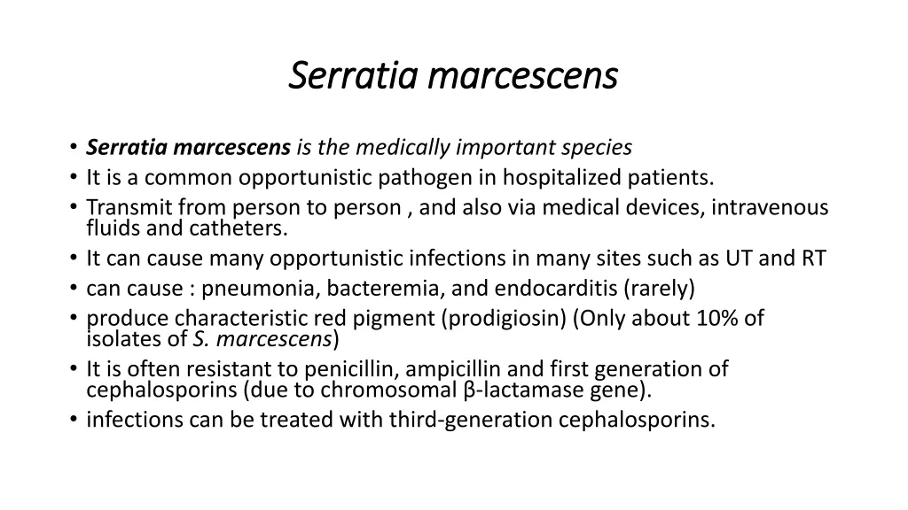 serratia marcescens serratia marcescens