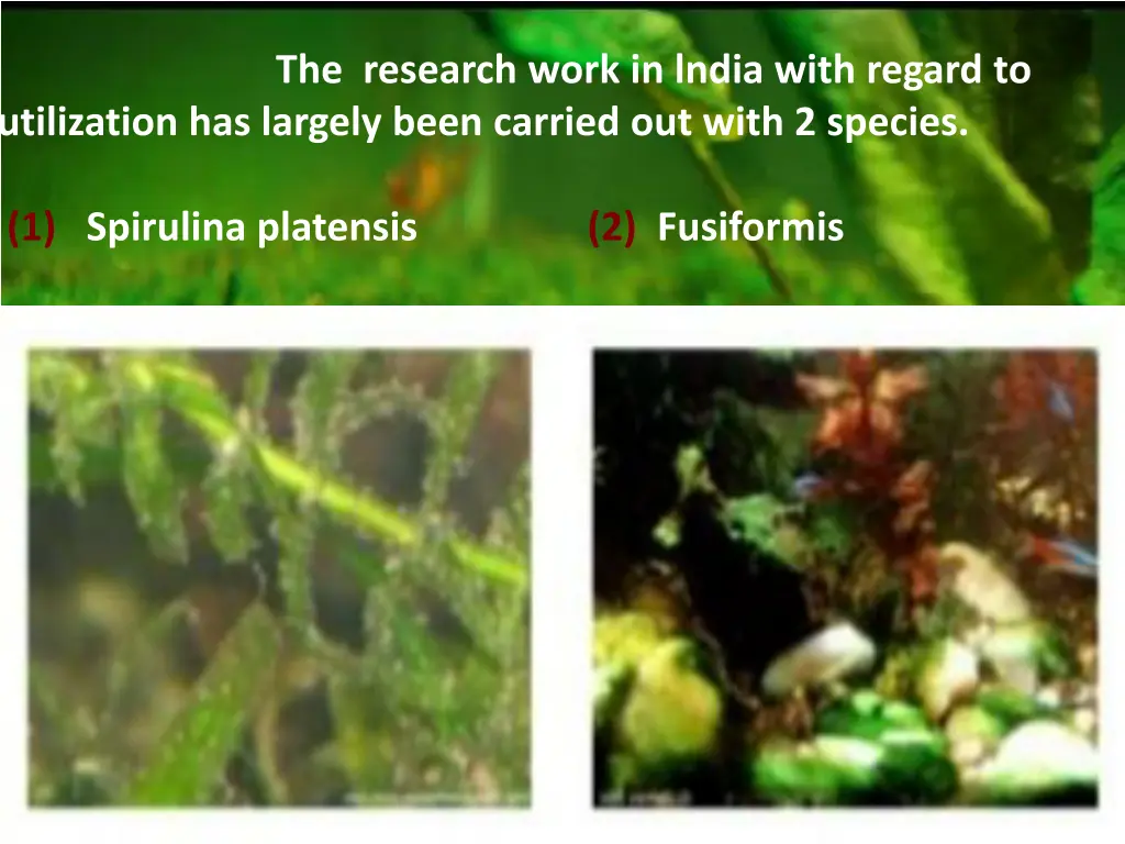 the research work in lndia with regard