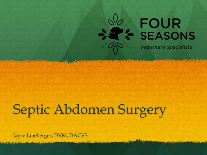 septic abdomen surgery
