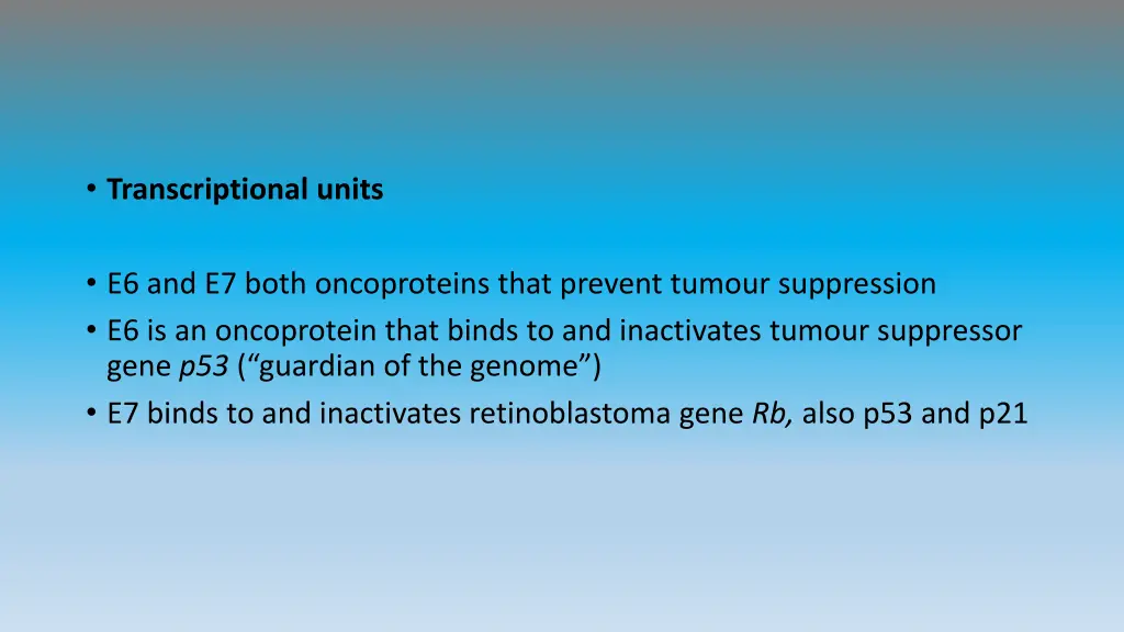 transcriptional units