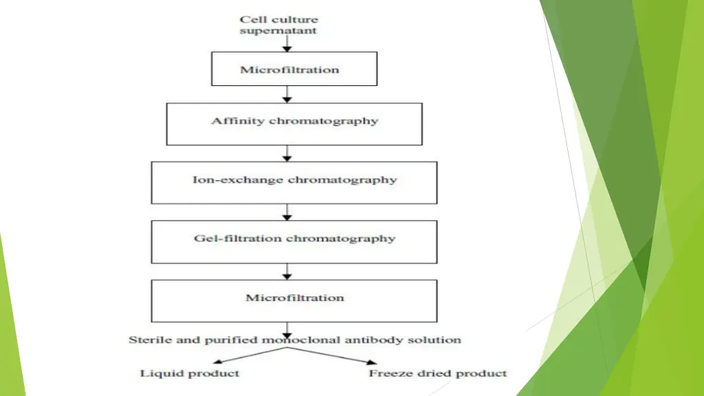 slide17