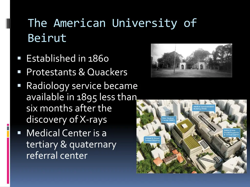 the american university of beirut
