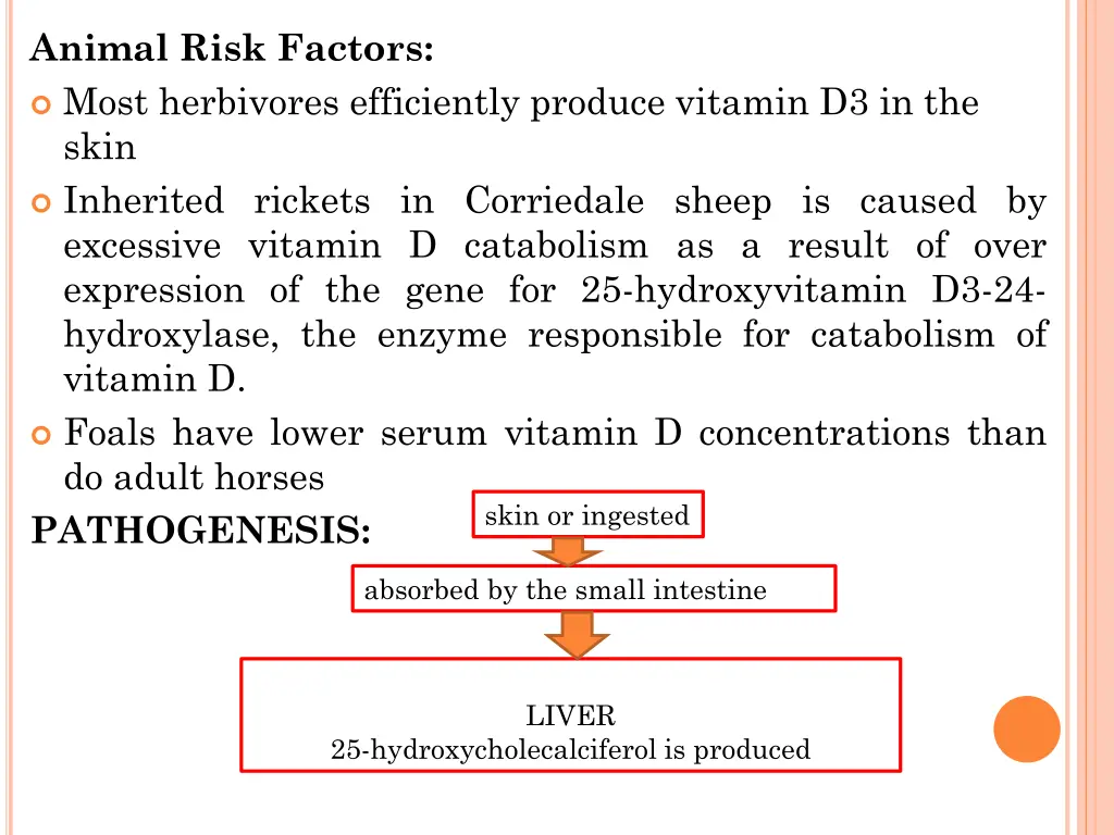 animal risk factors most herbivores efficiently