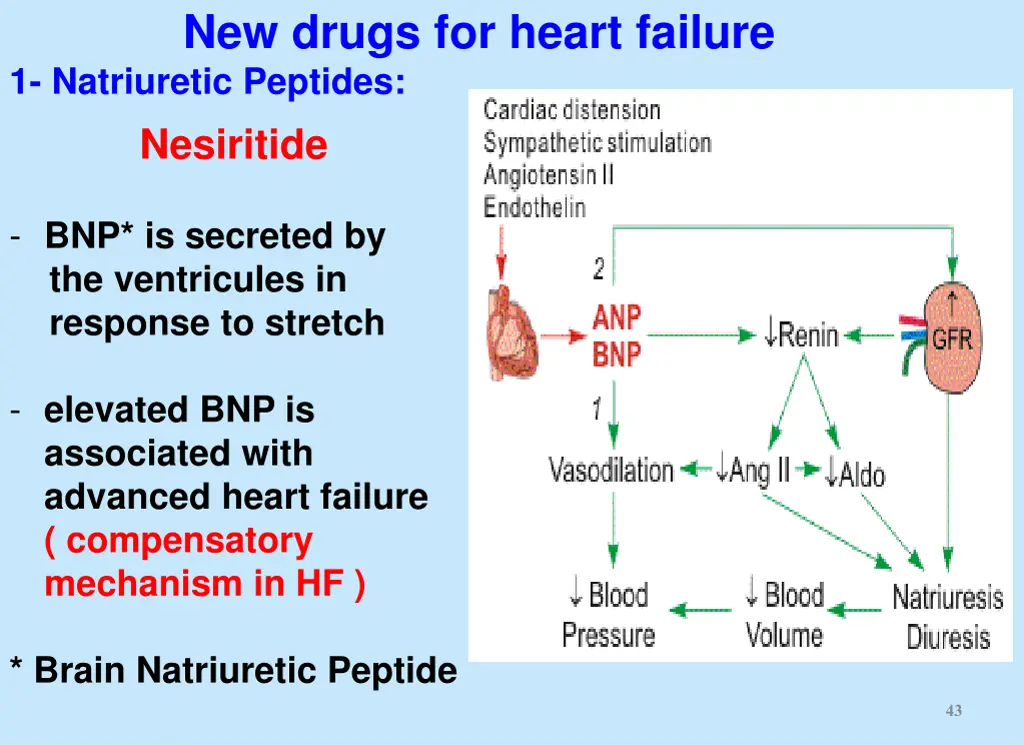 new drugs for heart failure 1 natriuretic
