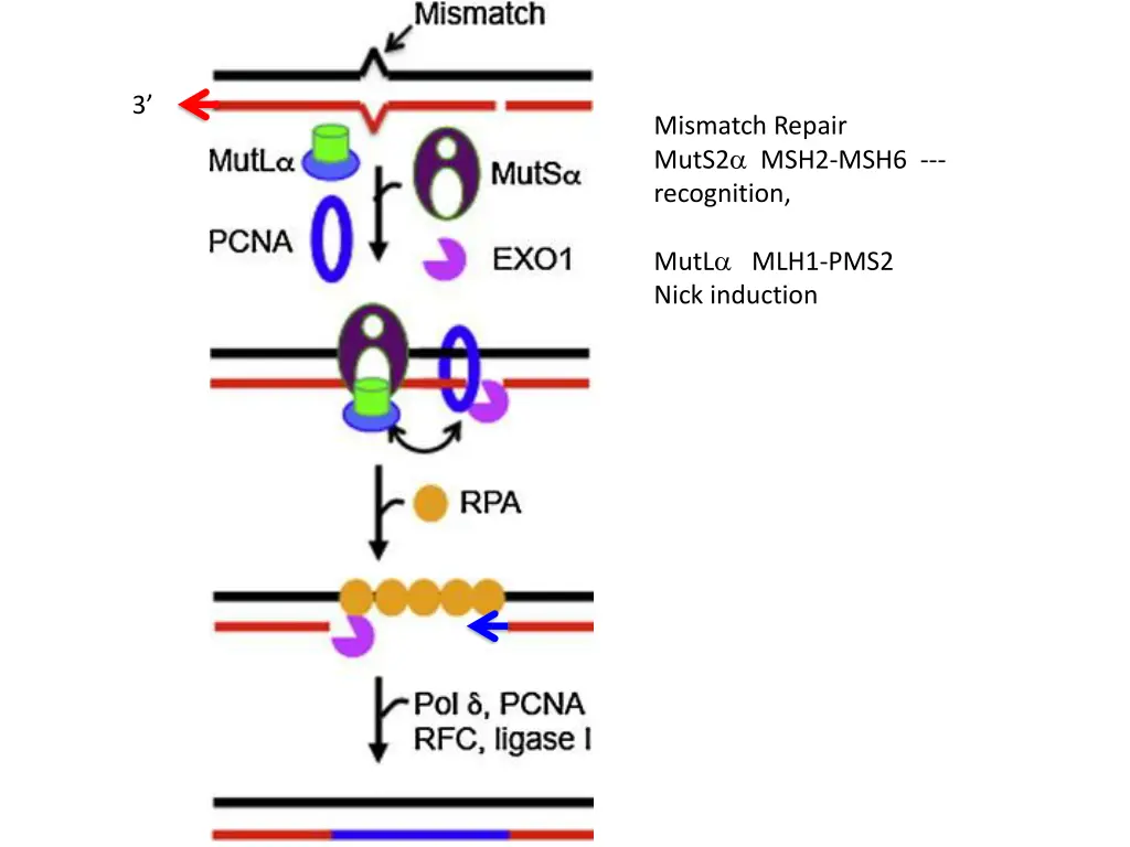 slide26