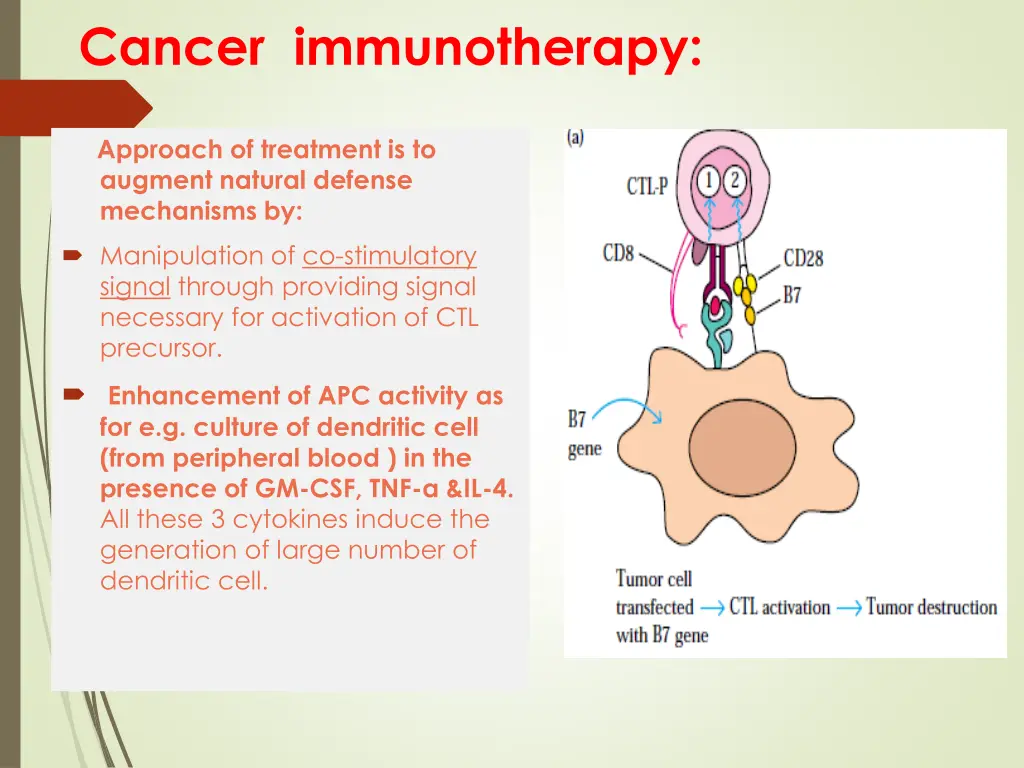 cancer immunotherapy