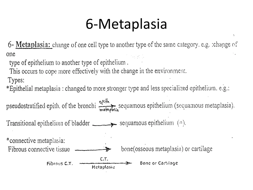 6 metaplasia