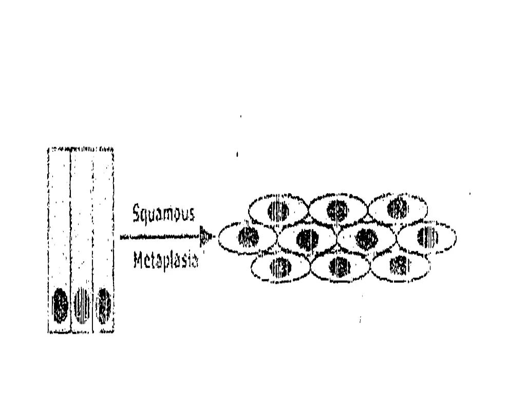 slide21