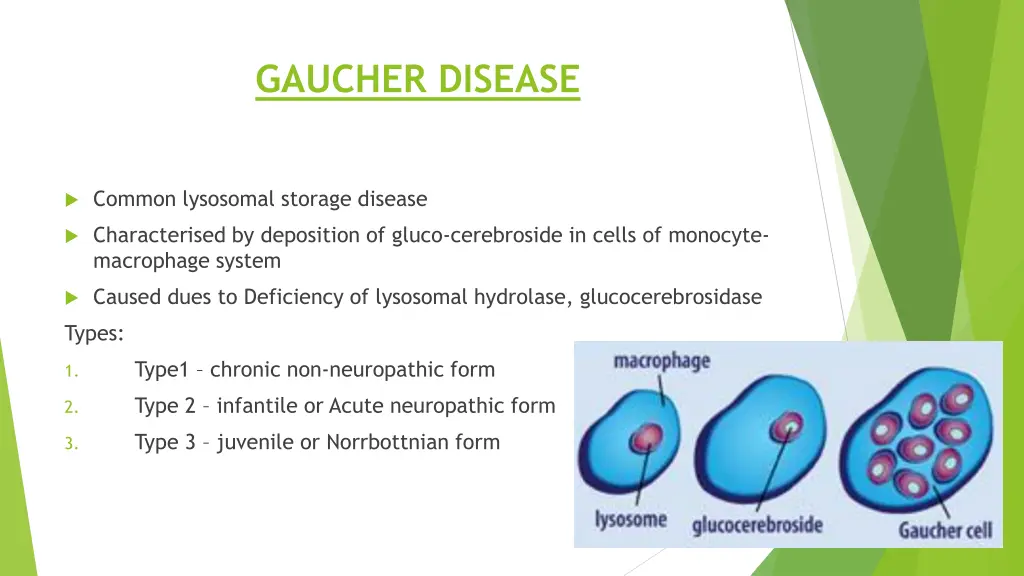 gaucher disease