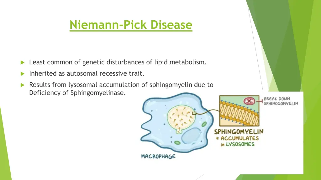 niemann pick disease