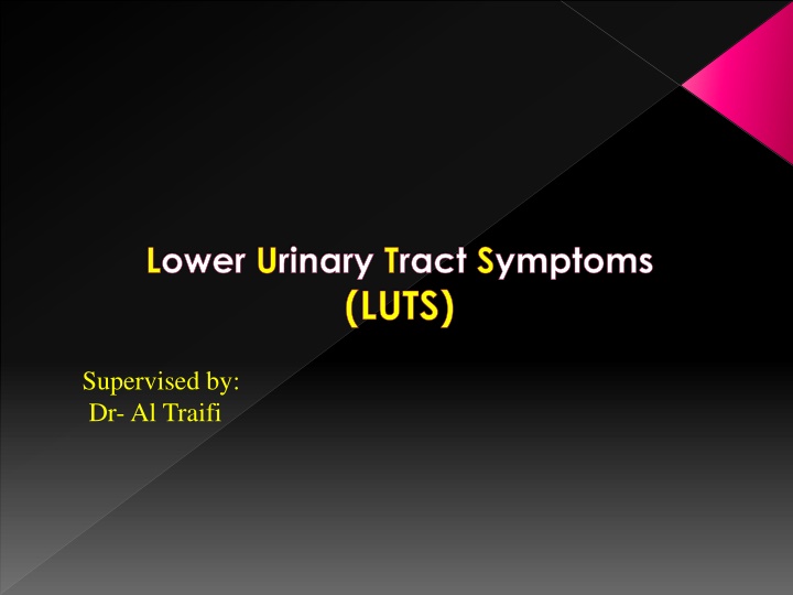 lower urinary tract symptoms luts