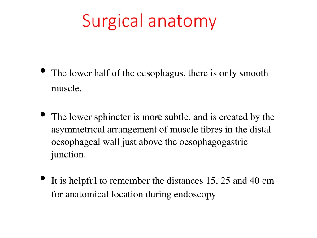 surgical anatomy