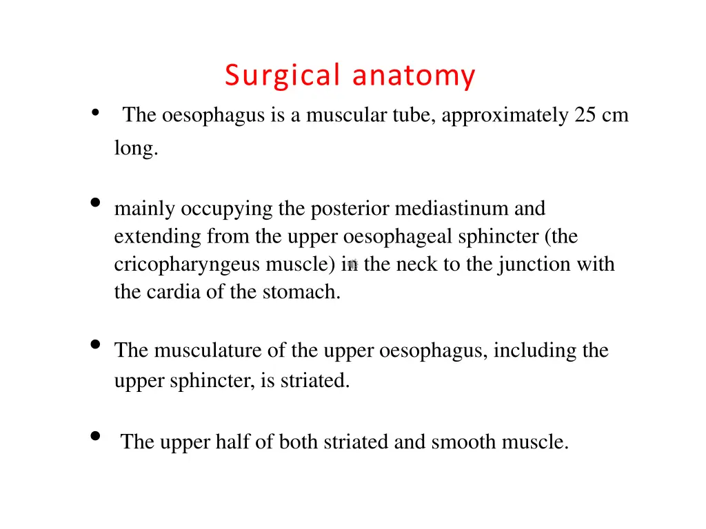 surgical anatomy the oesophagus is a muscular