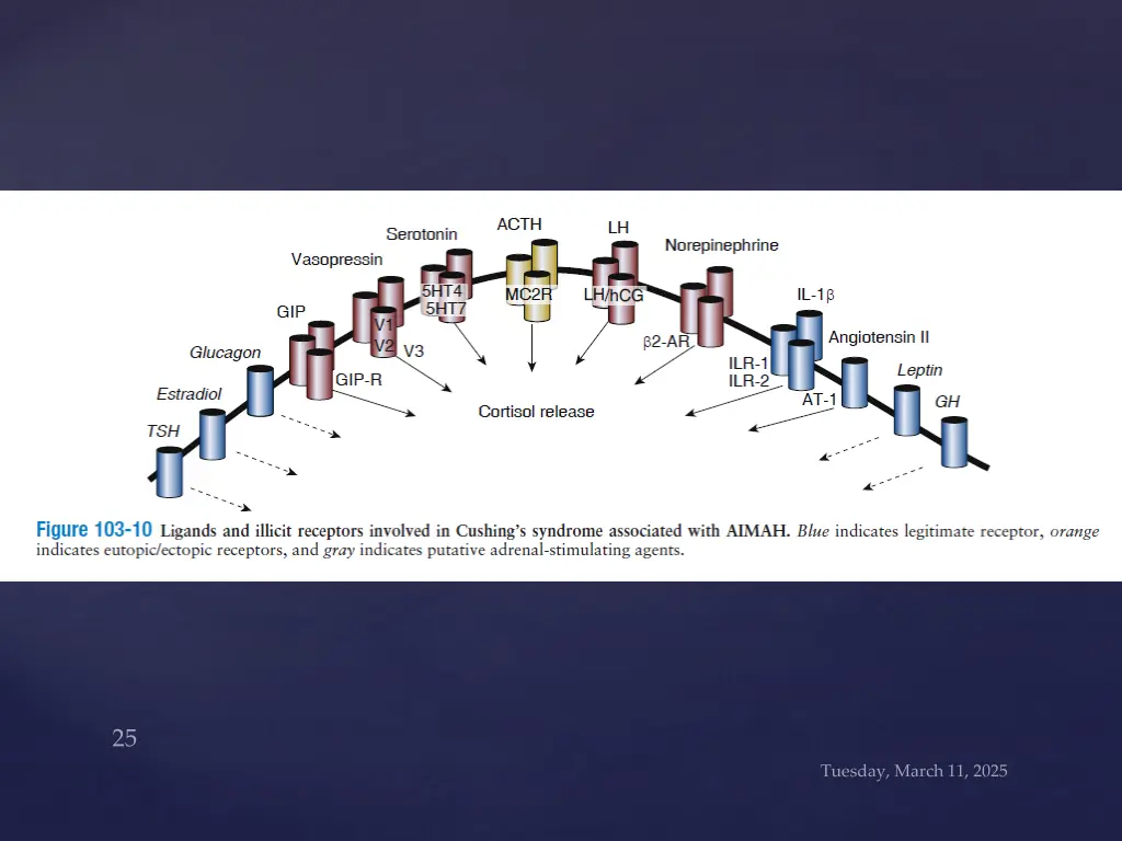 slide25
