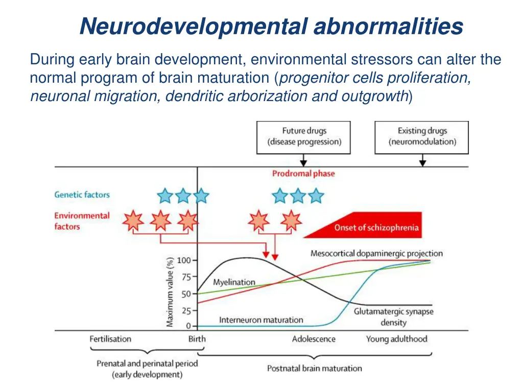 neurodevelopmental abnormalities