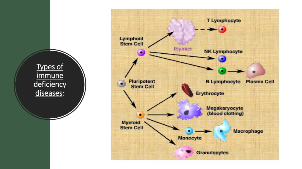 types of types of immune immune deficiency