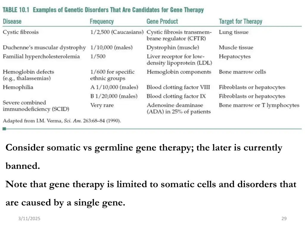 consider somatic vs germline gene therapy
