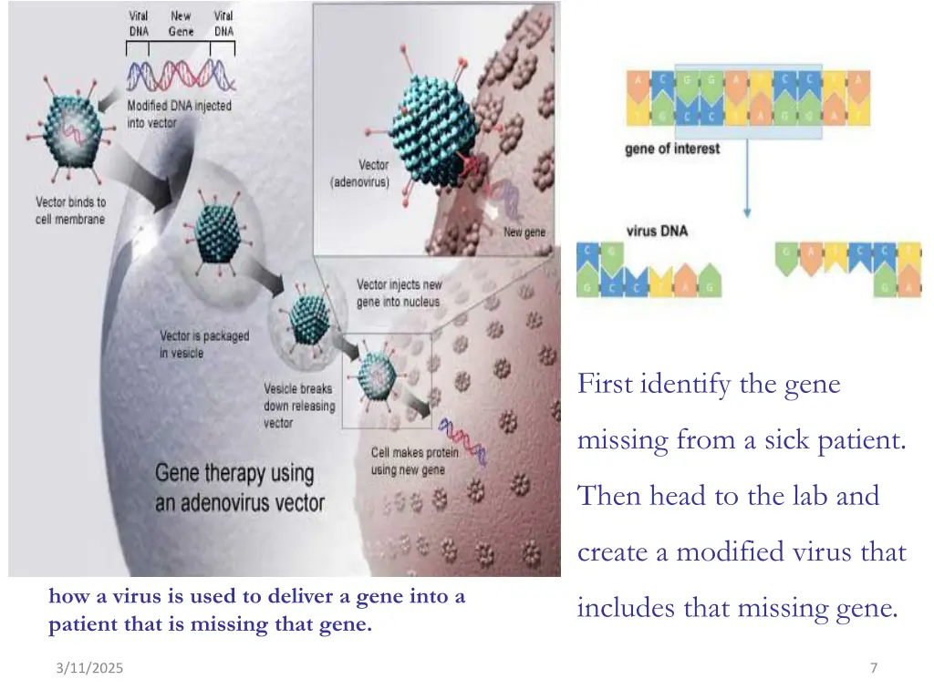 first identify the gene