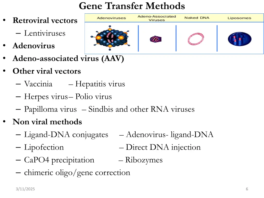 gene transfer methods