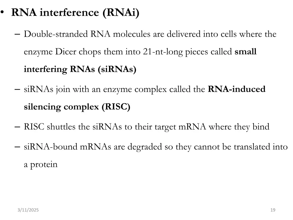 rna interference rnai