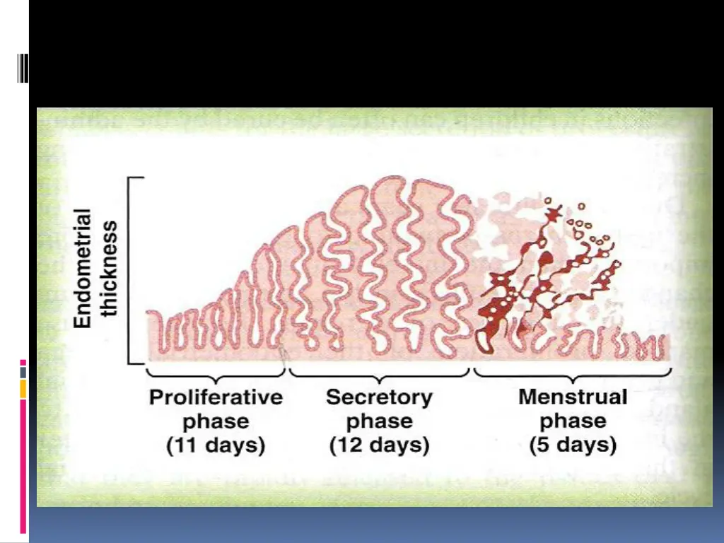 slide5