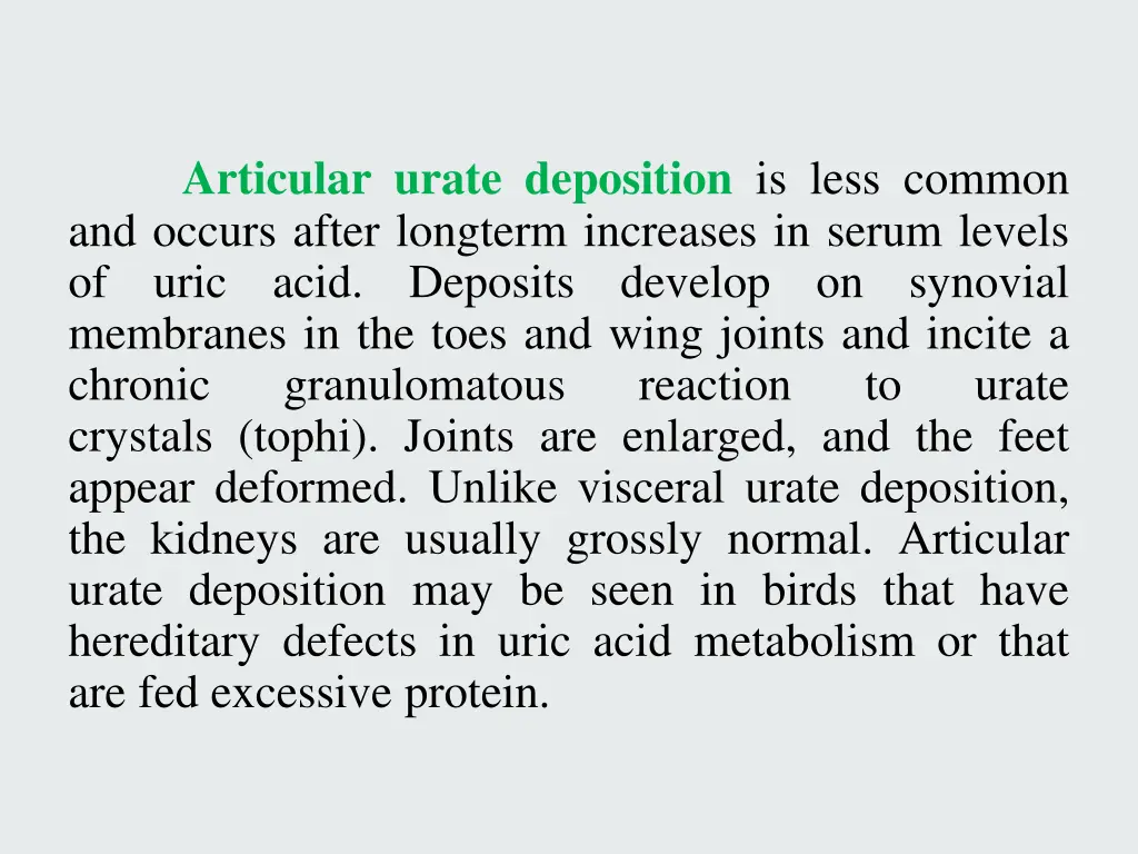 articular urate deposition is less common