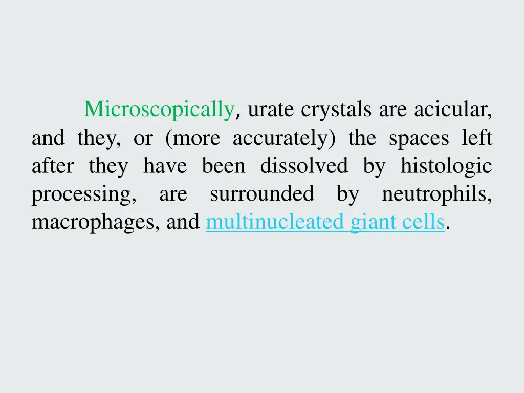 microscopically urate crystals are acicular