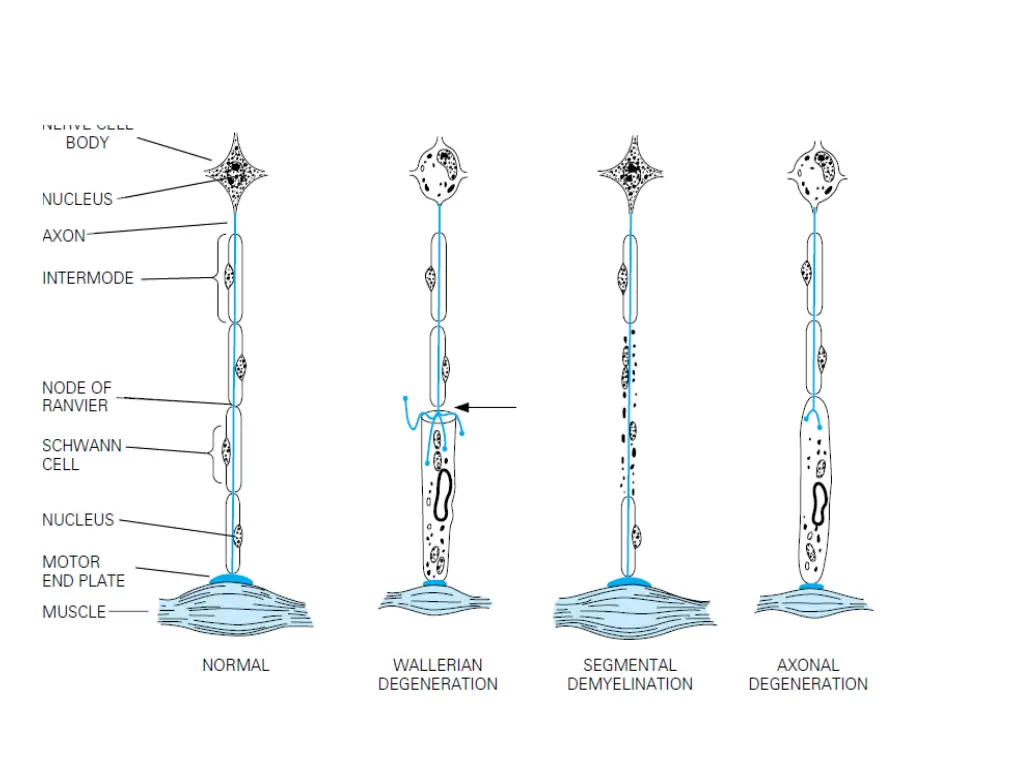 slide6