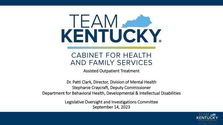 assisted outpatient treatment assisted outpatient