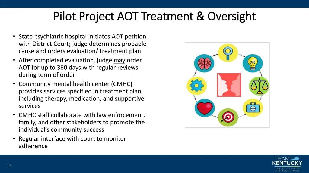 pilot project aot treatment oversight pilot