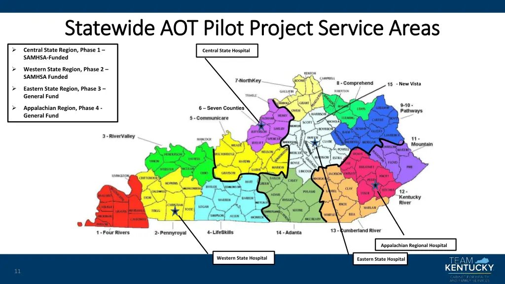 statewide aot pilot project service areas