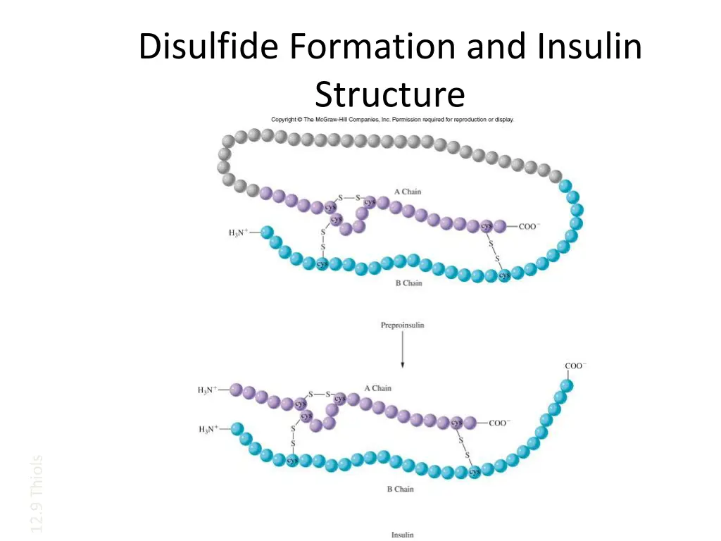 disulfide formation and insulin structure