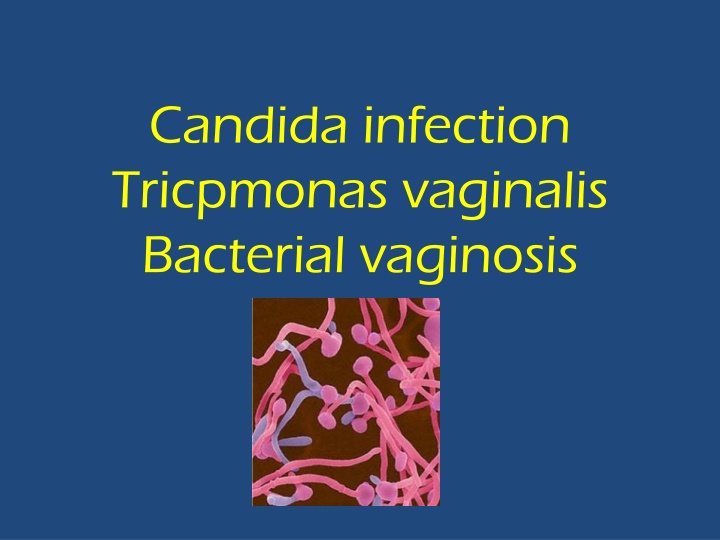 candida infection tricpmonas vaginalis bacterial