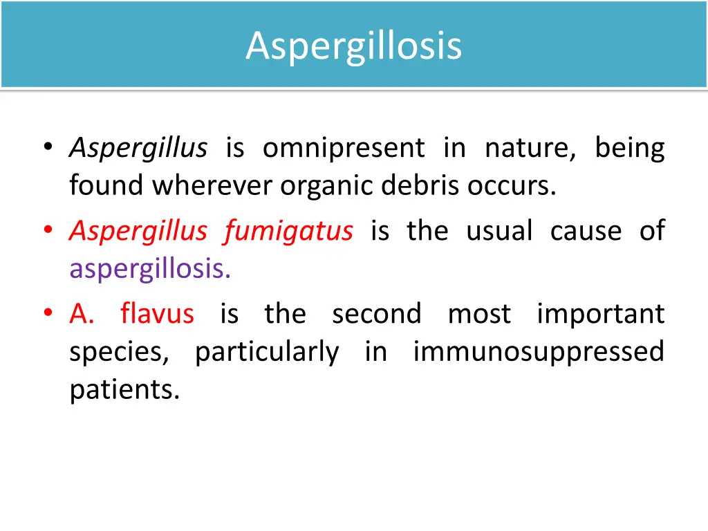 aspergillosis
