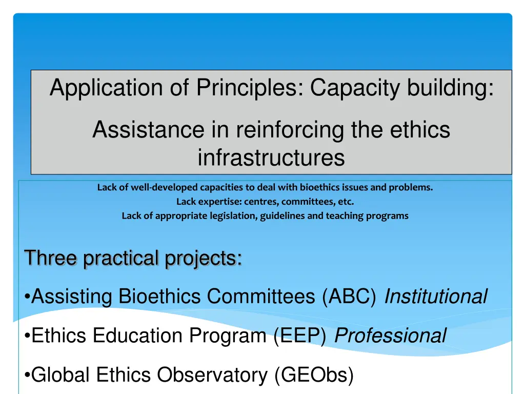 application of principles capacity building