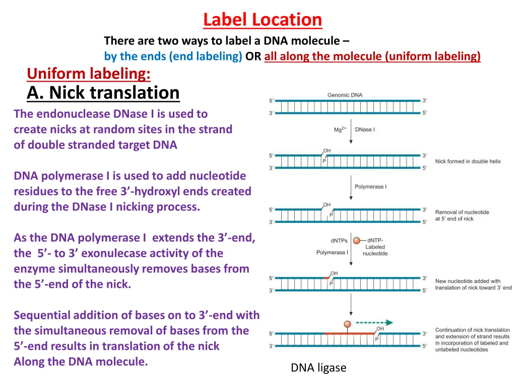 label location