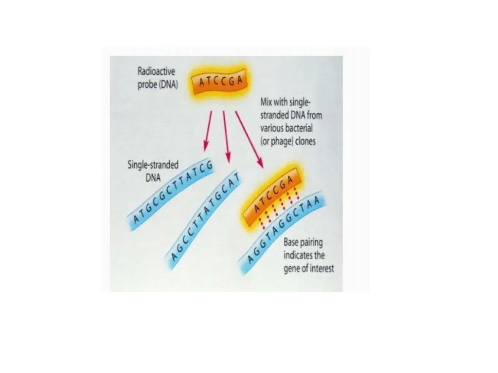slide22