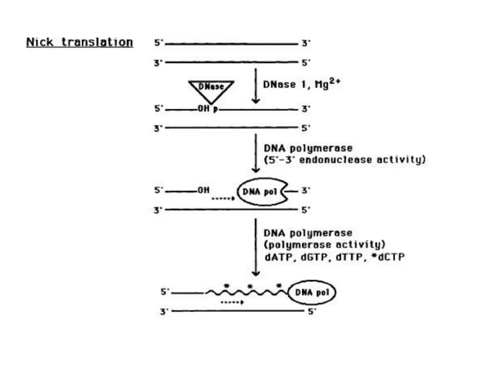 slide28