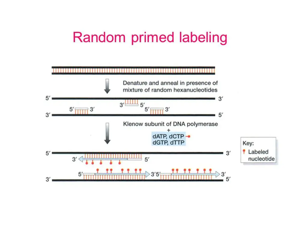 slide32