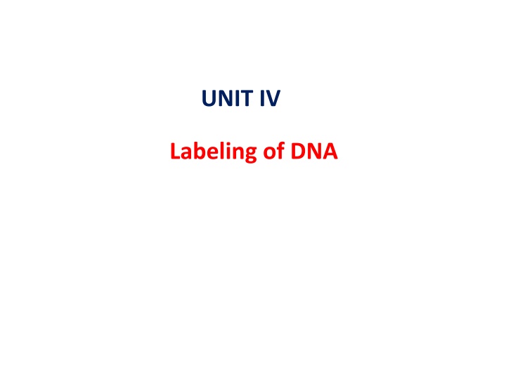 unit iv