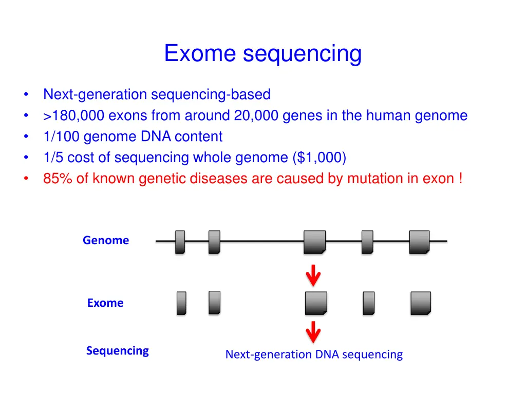 exome sequencing