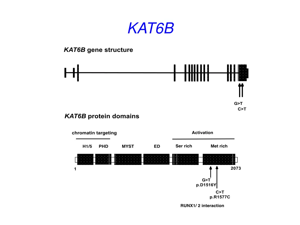 kat6b